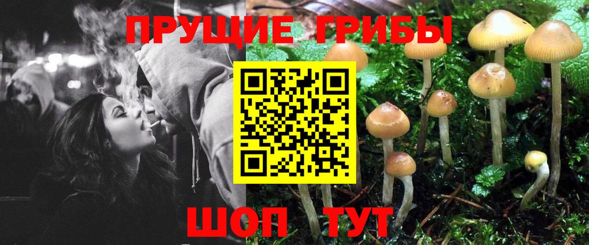 Псилоцибиновые грибы Magic Shrooms Шарыпово