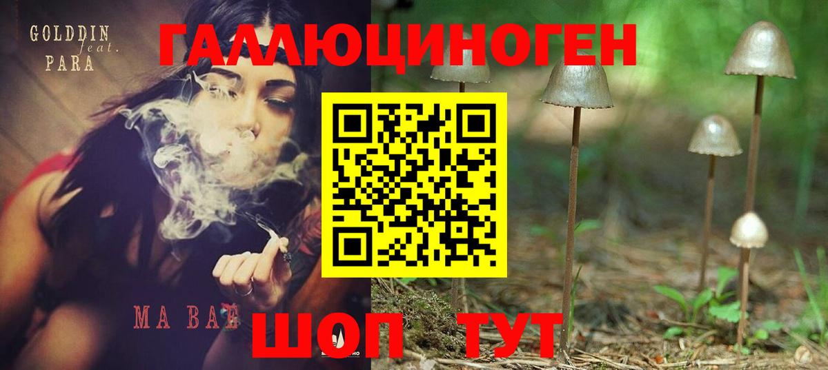 Псилоцибиновые грибы Psilocybe  Вход с VPN  Шарыпово 